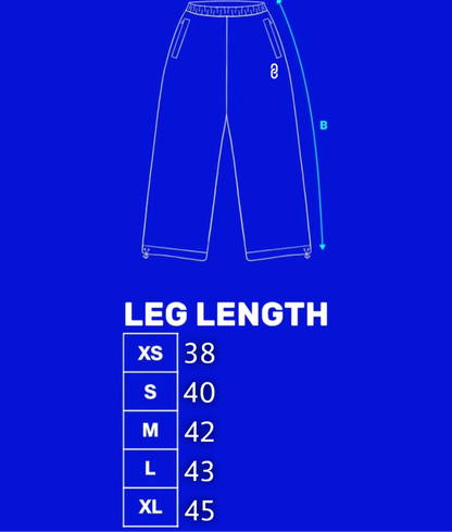 V2 BLACK WASH JOGGERS